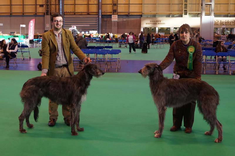 RCC Winners Crufts 2013